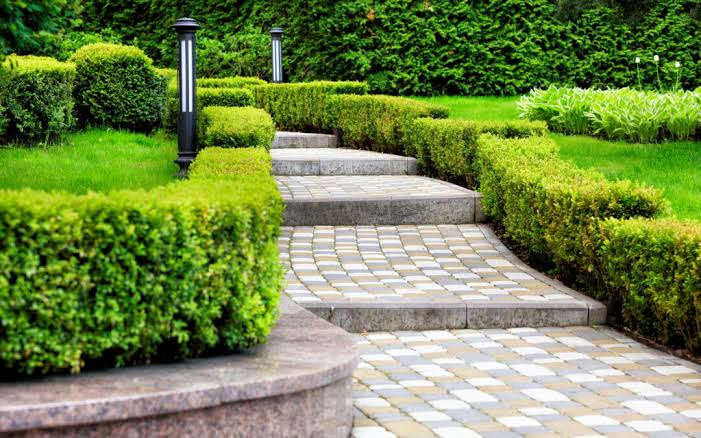 Steps Landscape Website